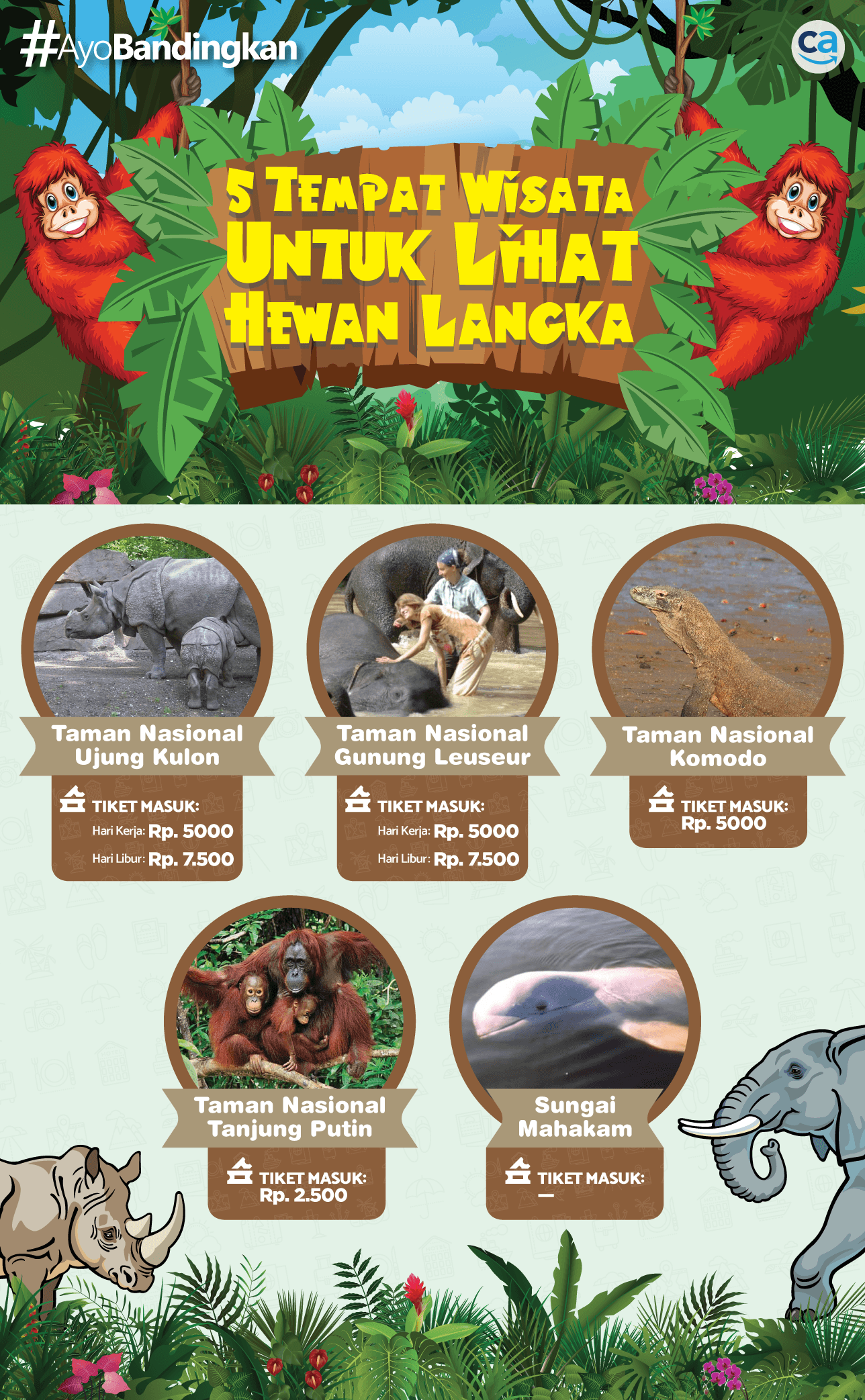 Ongkos untuk Lihat Hewan Langka di Indonesia